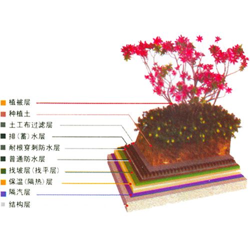 产品特点